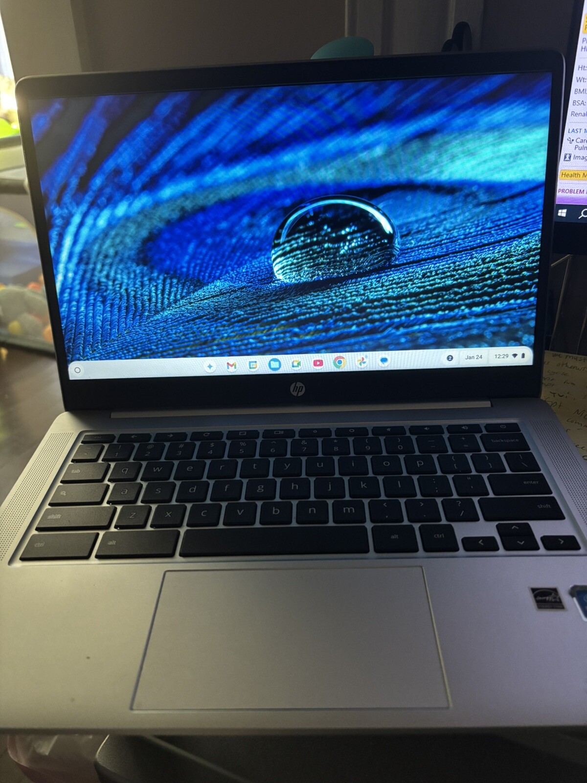 14 Inch HP Chromebook 64GB 2020