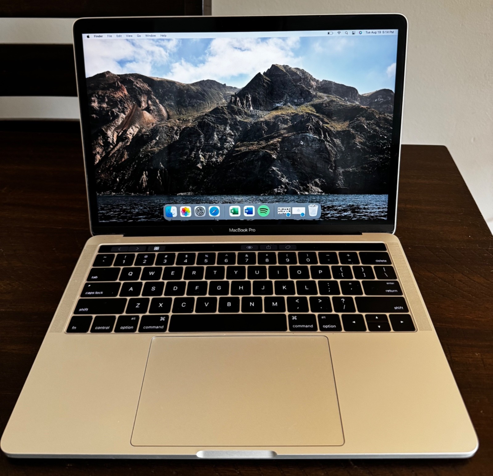 Apple MacBook Pro 13 in 2016 Silver/Intel Core i5 2.90 GHz, 256 GB 8 GB Intel
