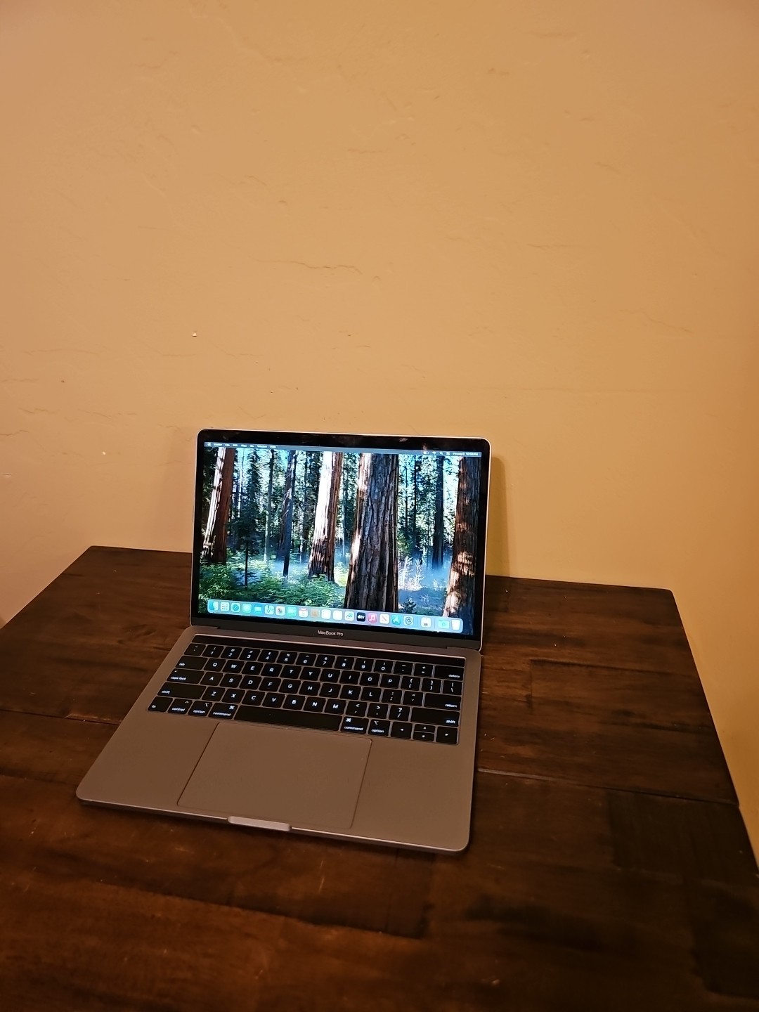 Apple MacBook Pro A2159 i5-8257U 1.4GHz 16GB RAM 13in 256GB SSD Sequoia