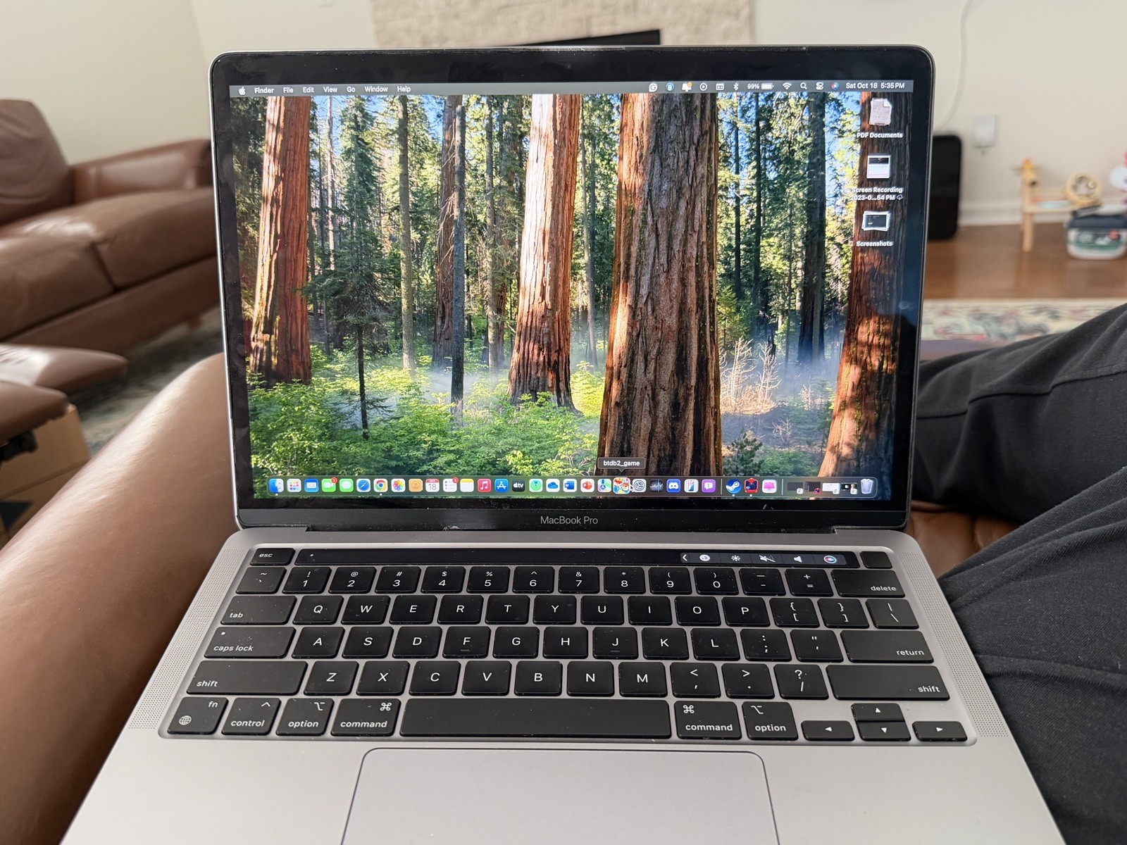 Apple MacBook Pro 13 in 2020 Silver/Apple M1, 256 GB 8 GB 8-Core