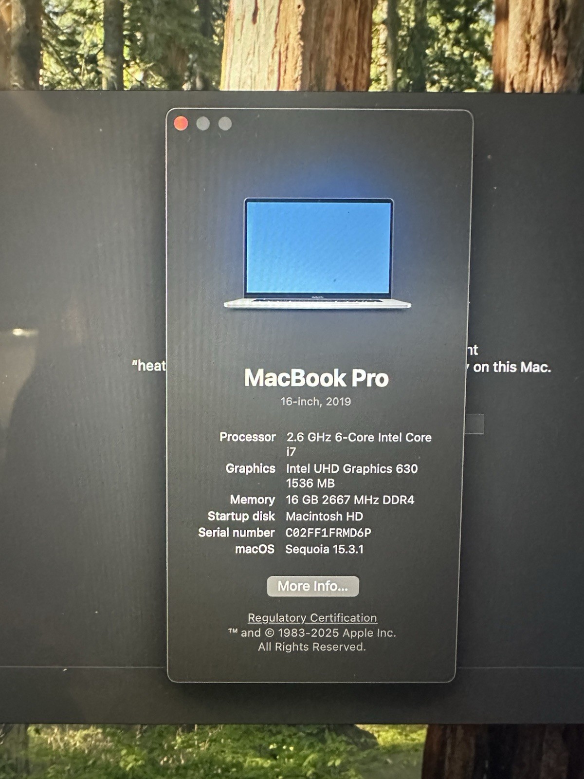 Apple MacBook Pro 16 Inch Silver 2.6 GHz 16gb Ram 2667 MHz DDR4