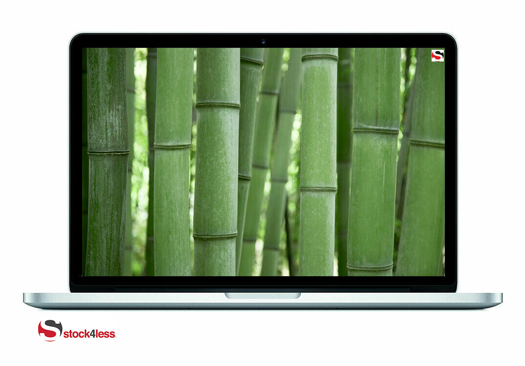 Apple MacBook Pro 13.3″ i5 2.4GHz 4GB 128GB SSD Retina Display + Warranty